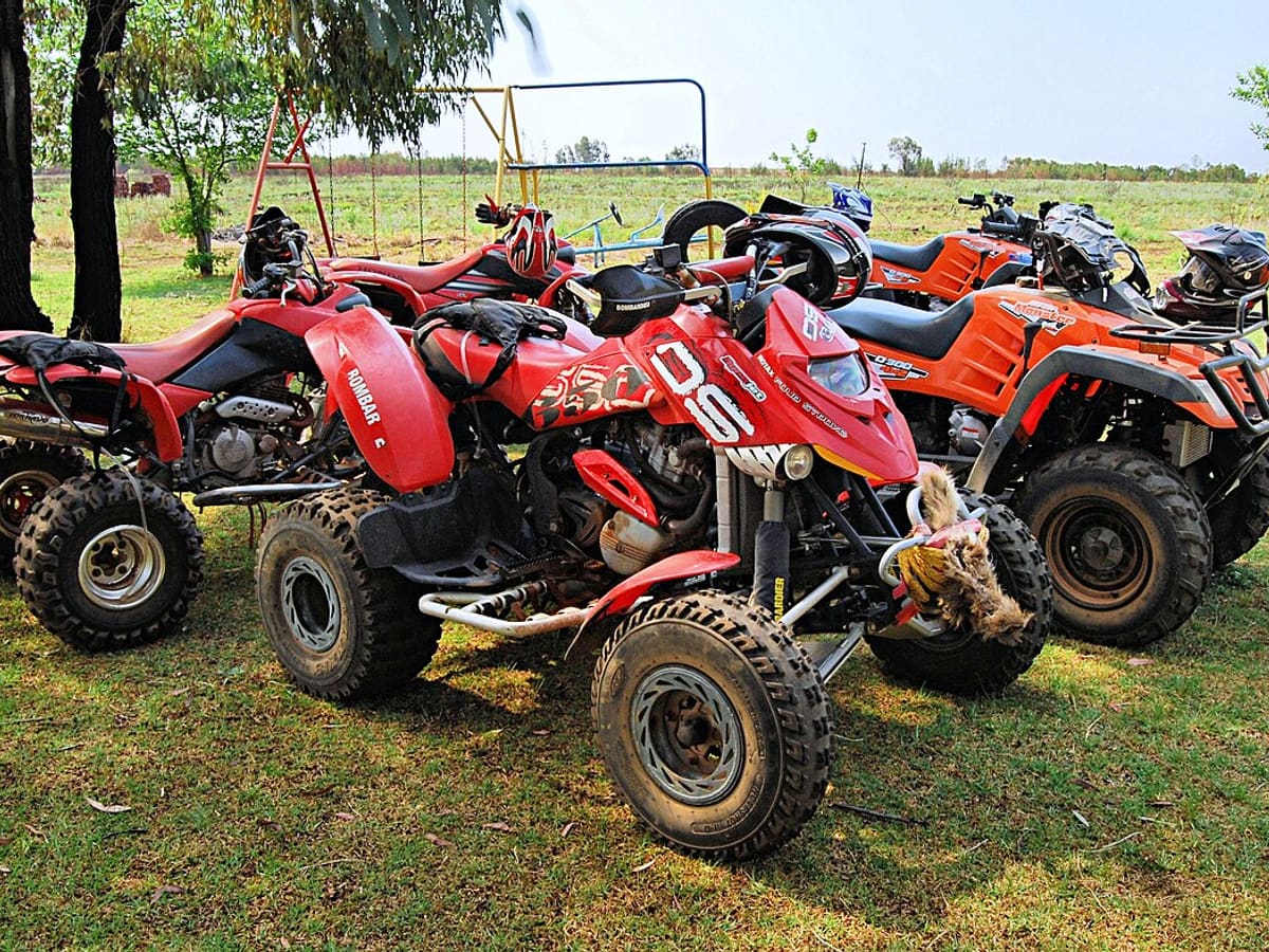 Linhai Bighorn 500 1